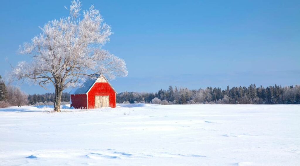 How to Prepare Your Pole Barn for Winter