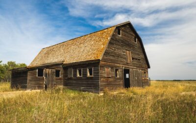 How Do I Know If My Old Barn Is Worth Saving? 5 Signs to Look For
