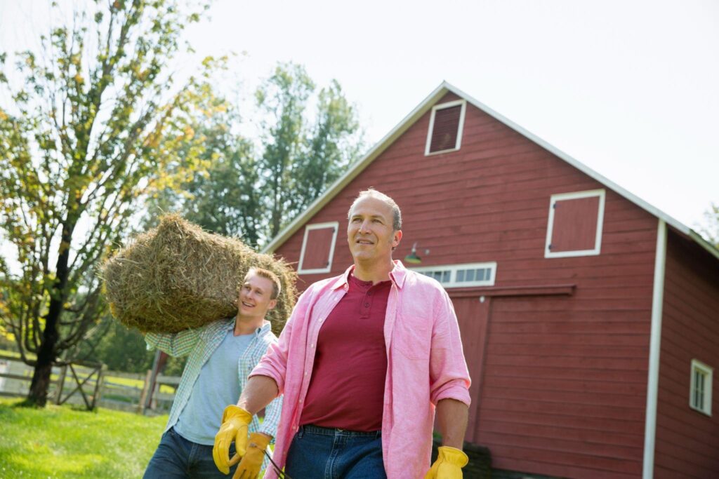 Two men working outside a red wooden barn, carrying hay during a sunny day on a New York farm — ideal example of functional barn construction and daily use.