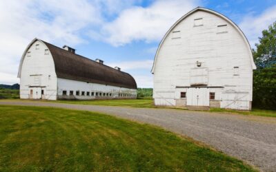 What Is the Lifespan of a Barn? Key Factors That Shorten or Extend It