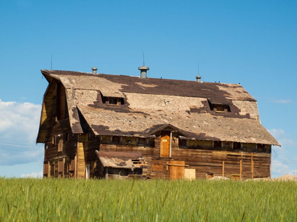 Aging wooden barn with a deteriorating roof in a rural field, ideal example of a historic structure in need of barn roof repair and structural restoration.
