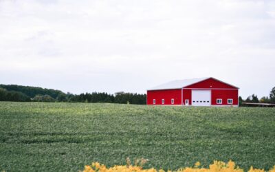 Barn Door Styles in NY That Preserve History and Functionality
