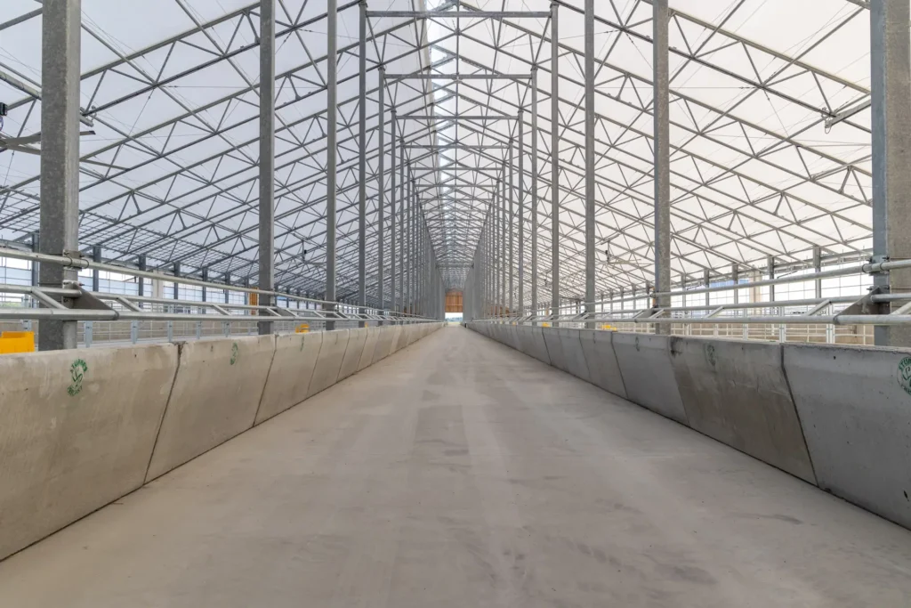 2022 08 24 Rasenberg Epic 140x950 Beef Barn Completed Overview 022 1.webp