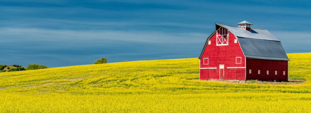 Barn.jpg