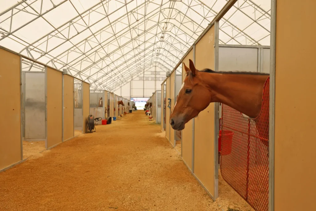 Canterbury Horse Barns Greystone Construction 3.webp