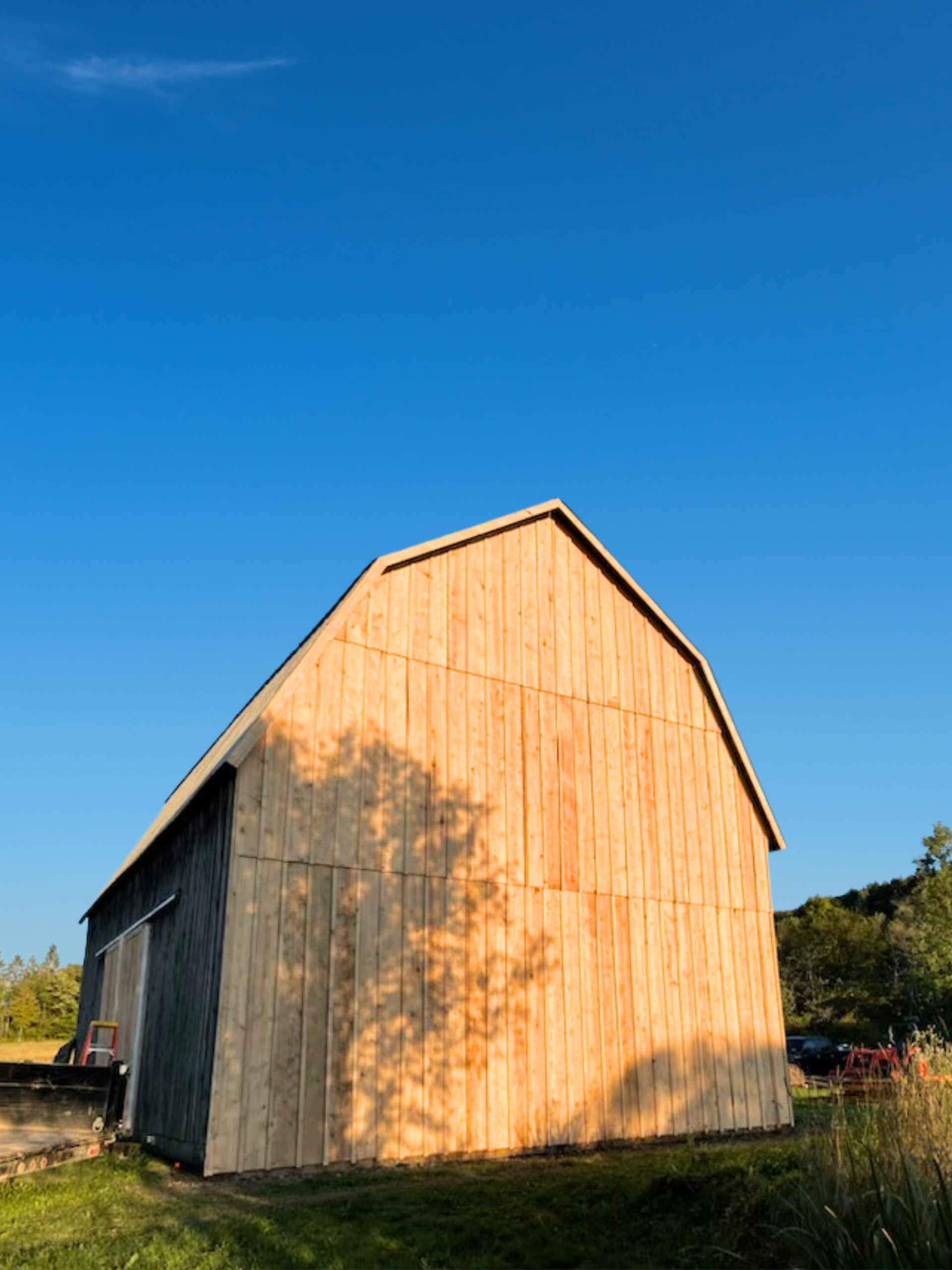 Woodford barn structural repair project